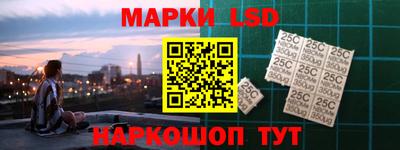 гашик Будённовск