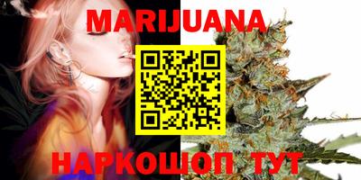 гашик Будённовск