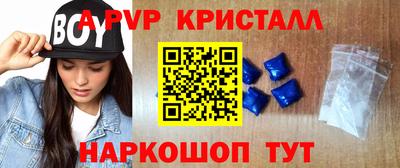 гашик Будённовск