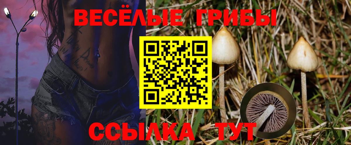 Псилоцибиновые грибы мухоморы  Вход с VPN  Галлюциногенные грибы мицелий  Черногорск 