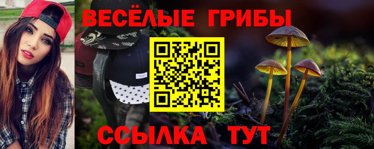 Галлюциногенные грибы ЛСД Черногорск